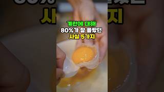 계란에 대해 80%가 잘 몰랐던 사실 5가지