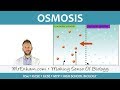 Osmosis - GCSE Biology (9-1)