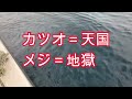 今季一発目　カツオとカジキ狙いで出船　ＹＦＲ