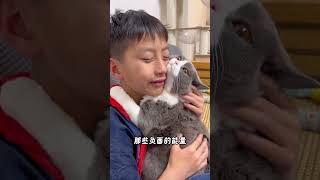 猫咪最大的幸福，是什么呢？养猫经验分享 科学养宠攻略 养猫人 喵咪  好懂事的猫猫