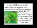 kollimalai hills கொல்லிமலை அதிசய மூலிகை கருட சஞ்சீவி 2015