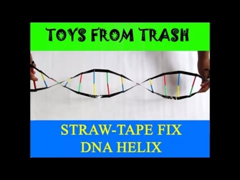 STRAW TAPE DNA HELIX - ENGLISH - DNA Model! STRAW TAPE DNA HELIX - ENGLISH - DNA Model!