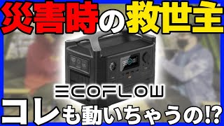 【実践!!】そこまで使えるの!?!?災害時には必要不可欠！ポータブル電源の常識を覆す!!最強Eco Flow!!