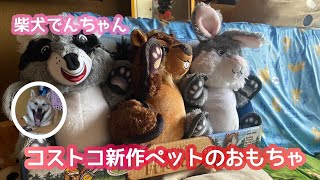 また出たっ！コストコ新作ペットおもちゃ　柴犬でんちゃん