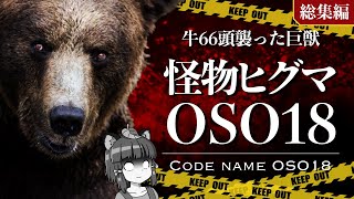 【総集編】牛66頭を襲った怪物ヒグマ「OSO18」｜北海道を震撼させたクマの正体とは…