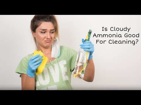 What is the difference between cloudy ammonia and ammonia?