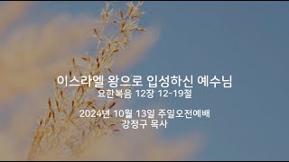 [광주은혜와평강교회 : 강정구 목사] 요한복음 12장 12-19절, 이스라엘 왕으로 입성하신 예수님 (2024. 10. 13. 주일오전예배)