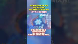 12月10日，黑龙江哈尔滨。喊你最好的朋友来打卡啊，全世界最大雪花冰迷宫，即将亮相哈尔滨冰雪大世界，这个冬天，邀您来挑战。喜迎亚冬会歌声里的黑龙江