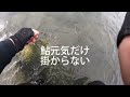 鮎youtube 2024高知鮎解禁in物部川 待っていたぞ！