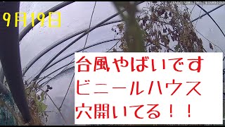 【LIVE】台風14号　愛知県　ビニールハウスがやばい　2022年9月19日（月）