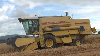 Harvest 2024 New Holland TX65 \u0026 TX34