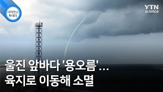 울진 앞바다 '용오름'...육지로 이동해 소멸 / YTN 사이언스