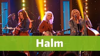 Halm - Reason to try - Live BingoLotto 15/4 2018