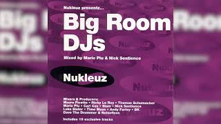 Nukleuz-Big Room DJs