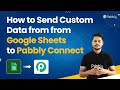 How to Send Custom Data from Google Sheets to Pabbly Connect (हिन्दी)