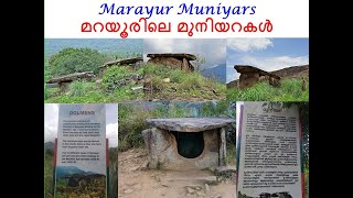 Marayur Dolmens Muniyara മറയൂരിലെ മുനിയറകള്‍