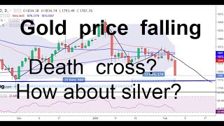 Gold Falling. How about Silver? 4 Feb 2021