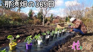 大きな箱から出てきたのは…那須畑😃11/24 2024 3