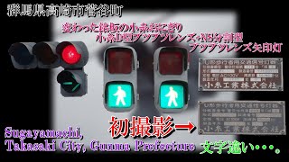 【信号機撮影#584】群馬県高崎市菅谷町 変わった銘板の小糸おにぎり＆小糸D型ブツブツレンズ+NSセパブツブツレンズ矢印灯〈更新済み〉