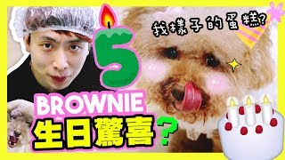 【🐶BROWNIE五歲生日！】準備了大驚喜😍？BROWNIE樣子的「生日蛋糕」？🎂(中字)❤️