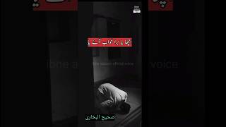 Hadees Mubarak ll #shortvideo #shorts #short #hadeessharif ll ibne addam official voice ❤️