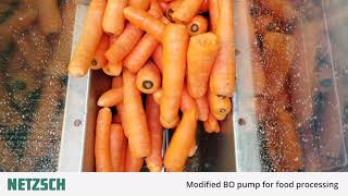 NETZSCH Pumps UK: Hopper-mounted BO pump processing carrots