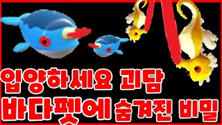 [로블록스]입양하세요 괴담 바다펫에 숨겨진 비밀과 소름끼치는 숨겨진 진실...모두 공개합니다...(로블록스,입양하세요)