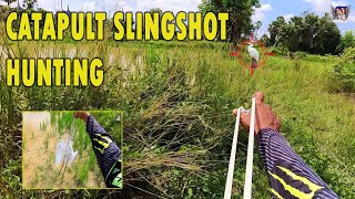 Let's go hunting #EP27 Catapult Slingshot Hunting តាមយកកុកអោយបាន 5.10.2022