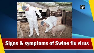 Signs & symptoms of Swine flu virus