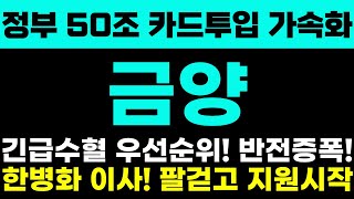 [금양 주가전망] 정부 50조 카드투입 가속화! 긴급수혈 우선순위! 반전증폭! 한병화 이사! 두팔걷고 지원시작! 주주님들 절대 흔들리시면 안됩니다!