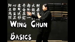 8 min. Basic Wing Chun Training for beginners