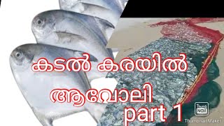 വെള്ള ആവോലി കരയിൽ / white pomfret in india part1