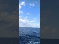 ⚓ somewhere ❤️ in the mediterranean sea 🌊🚢 asmr sound shorts satisfying