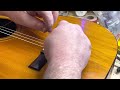 1959 Gibson C-1 classical guitar. Final Episode