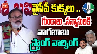 వైసీపీ కుక్కలు Naga Babu Daring Comments On YS Jagan \u0026 YCP Leaders | YOYO TV Channel