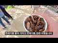 대구 벚꽃 명소 아양교 공항교 벚꽃길 주간 촬영 1km정도 계속되는 벚꽃 터널. 지금 영상은 야간에 촬영한 거에요.