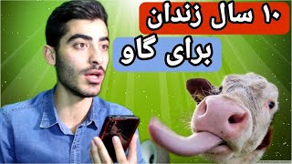 قوانین عجیب کشور ها | آموزش زبان با استاد قمری