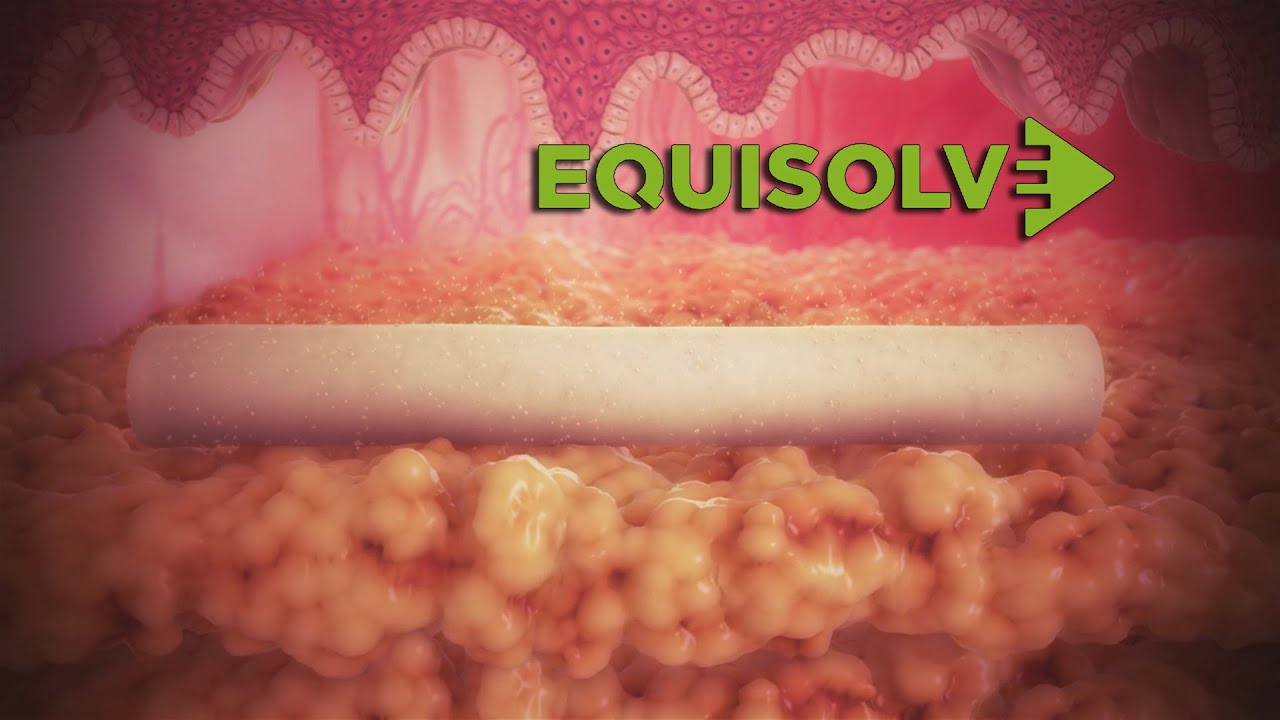 Scientific Animations Medical Animations Scientific Illustrations