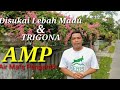 AMP Bunga Air Mata Pengantin