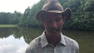 Simplicity Poem by Ben Freeth