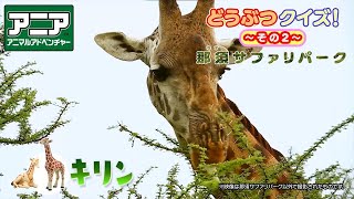 【アニア】キリンとサイのヒミツを大公開！どうぶつクイズ② in 那須サファリパーク【タカラトミーキッズ】動物 | 探検隊 | タカラトミー公式