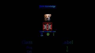 knowledge distilation #machinelearning #python #computervision #artificialneuralnetwork