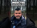 insectes le 10 fÉvrier un nouvel insecte s’invite dans votre assiette ​⁠@charbofficiel2