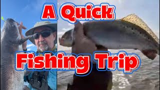 A Quick Fishing Trip ‼️Speckled Trout Catfish (Spotted Sea Trout)