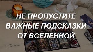 Таро расклад для мужчин. Важные Подсказки от Вселенной для Вас ‼️🙏 Не Пропустите 🔥✨