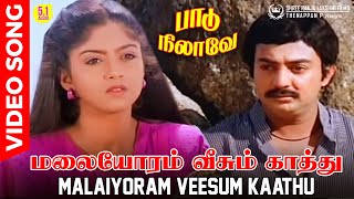 Malayoram Veesum Kaathu | Video Song | HD AUDIO | Mohan | Nathiya | SPB | Vaali | Ilaiyaraja