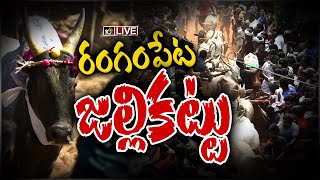 రంగంపేట జల్లికట్టు LIVE: Rangampeta Jallikattu | Chittoor | 10TV News