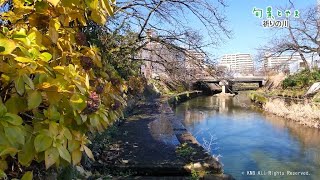 【旬景とやま】　祈りの川