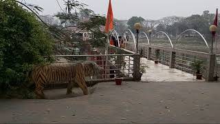 ডিসি লেক, টাঙ্গাইল || DC Lake, Tangail