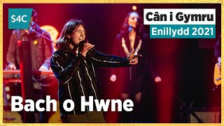 Bach o Hwne - Morgan Elwy | Enillydd Cân i Gymru 2021 Winner | CIG 2021